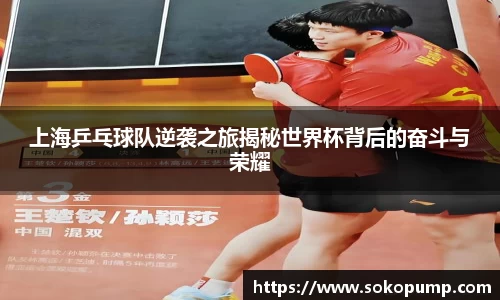 333体育app