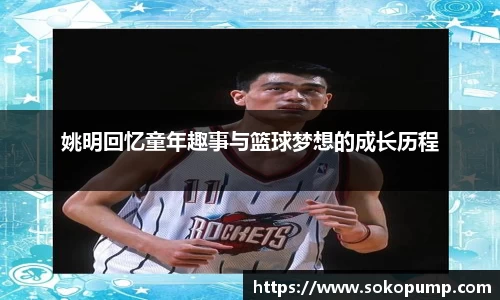 333体育平台