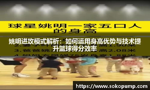 333体育官网