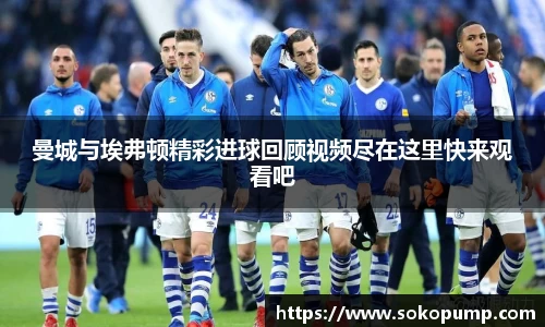 333体育官网